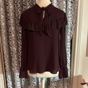 Ann Taylor Deep Burgundy Blouse with Ruffle Detail